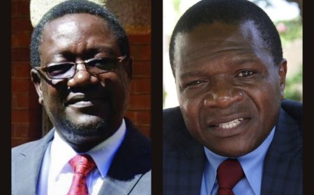 Zimbabwe CIO Chief Fired Amid Allegations of Nepotism and Misconduct