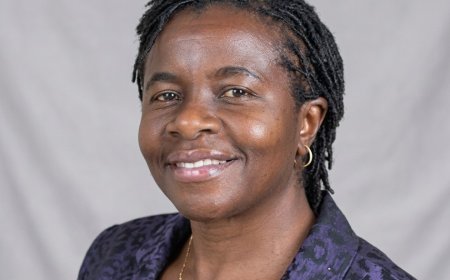 Zimbabwe Human Rights Chief Majome Reassigned After CAB3 Hearings Criticism