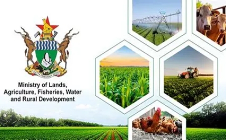 Land Dispute Stalls as Ministry Fails to Act in High Court Case