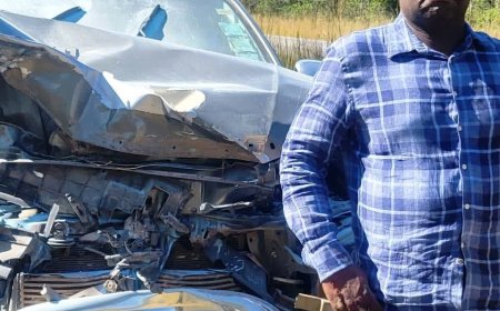 Chamisa Ally, Amos Chibaya Involved in Car Accident