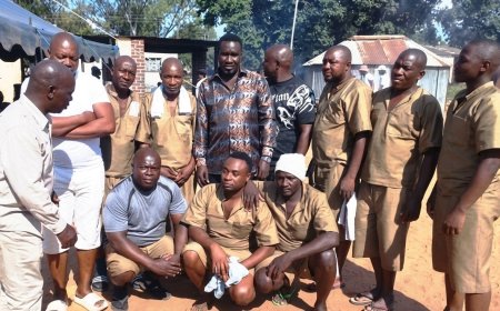 ZANU PF Activists in CID Abduction, Torture Case Denied Bail