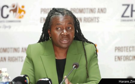 Lawyers Challenge ZHRC Chair Ouster