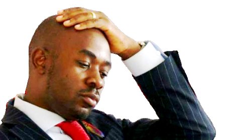 Opposition Leader Nelson Chamisa’s Grandmother Passes On at 99