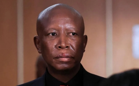 South Africa’s Julius Malema Sentenced for Firearm Offences