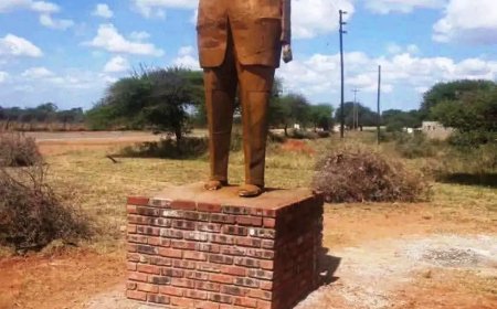 Nkomo Statue Removed After Uproar, Chin’ono Slams “Collapse of Standards”