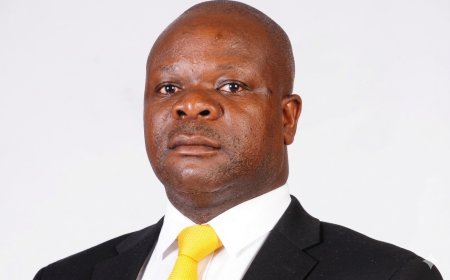 Chibaya Leads Urgent High Court Challenge Against Constitutional Amendment Process