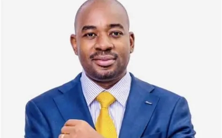 CAB3 a Betrayal of the Independence Promise: Chamisa