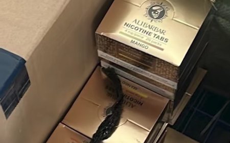Australian Police Bust A$800,000 Cash and Illicit Tobacco Crime Syndicate