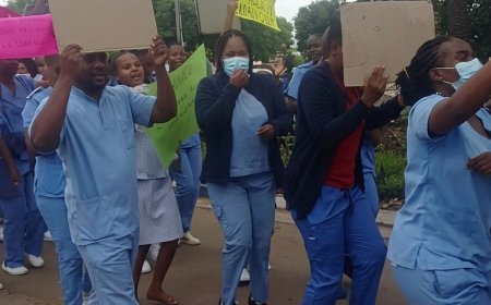 Zimbabwean Nurses Launch Three-Day Nationwide Strike Over Pay and Working Conditions