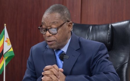 Zimbabwe's Health Minister Appeals for Nurses to Suspend Strike