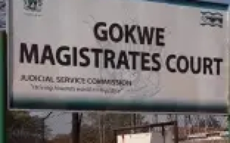 ZANU-PF Youth Activist, Prison Officer Marima in Fresh Kidnapping Storm