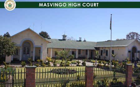 ZANU PF Activists Denied Bail Over Risk of Witness Interference, Abscond