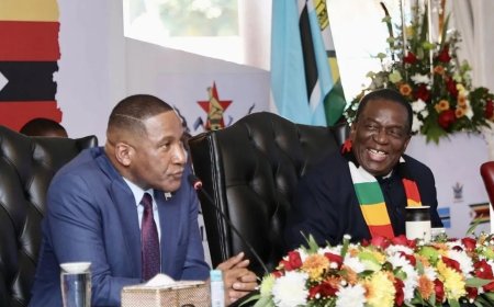 Zimbabwe, Botswana Move to Scrap Passports in Favour of ID