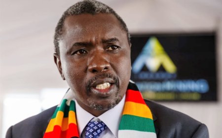 Government Revises Land Tenure Fees Following Pressure from War Veterans