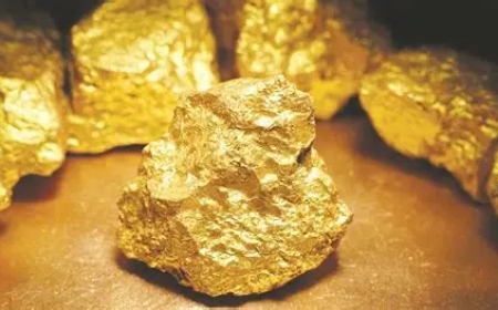 Allegations Emerge Over Gold Mining Proceeds and Shareholder Benefits