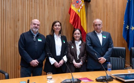 Every Minute Counts: European Allergy Body Demands Urgent School Safety Reforms