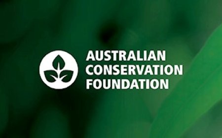 Don't walk away from the Australian public, PM: tax big gas greed - Australian Conservation Foundation