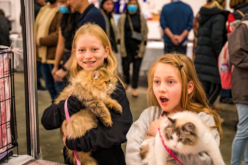 Australia’s Biggest Cat and Dog Festival Returns This August