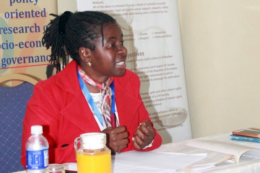CAB3 Hearings Political Firestorm: ZHRC Flags Abuses, Opposition Boycotts, ZANU PF Remains Adamant