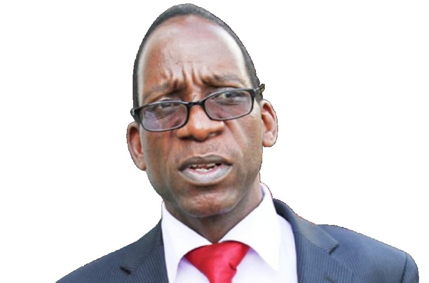 Madhuku Commends Chamisa Security Intervention as Opposition Rallies Against CAB3 Amid Rising Tensions