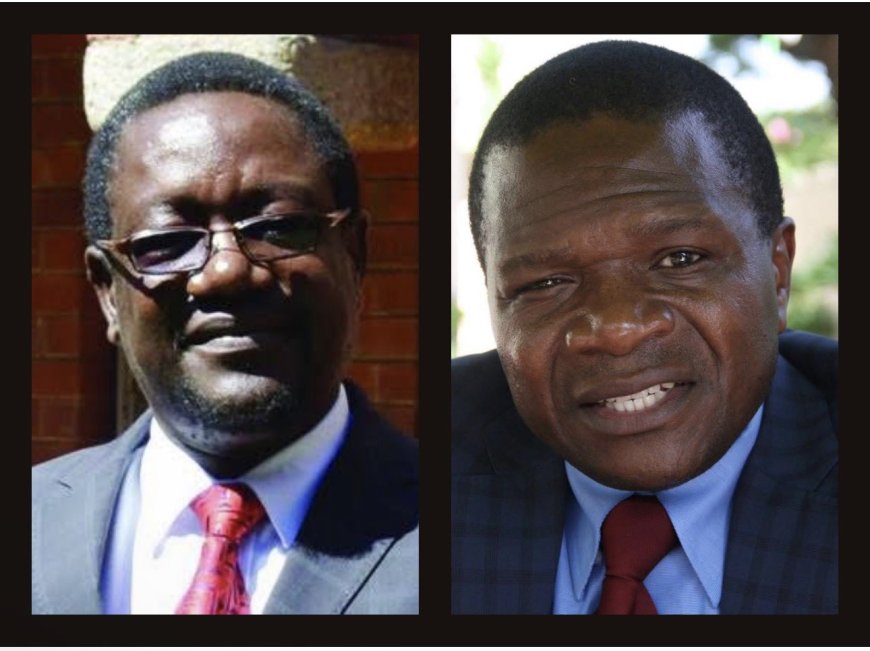 Zimbabwe CIO Chief Fired Amid Allegations of Nepotism and Misconduct