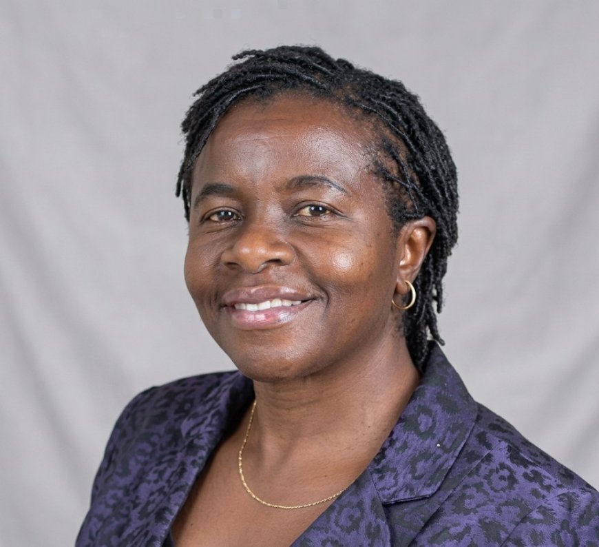 Zimbabwe Human Rights Chief Majome Reassigned After CAB3 Hearings Criticism