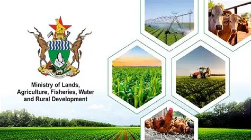 Land Dispute Stalls as Ministry Fails to Act in High Court Case