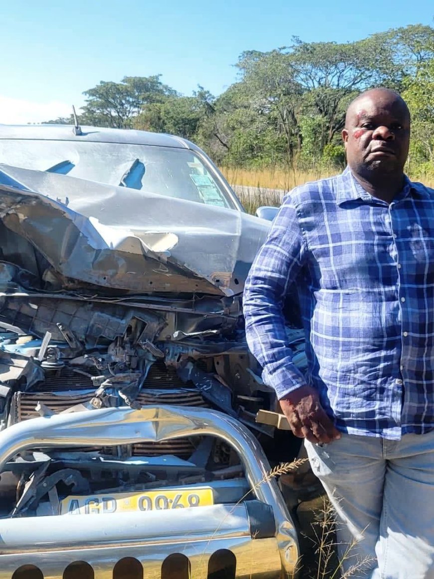 Chamisa Ally, Amos Chibaya Involved in Car Accident