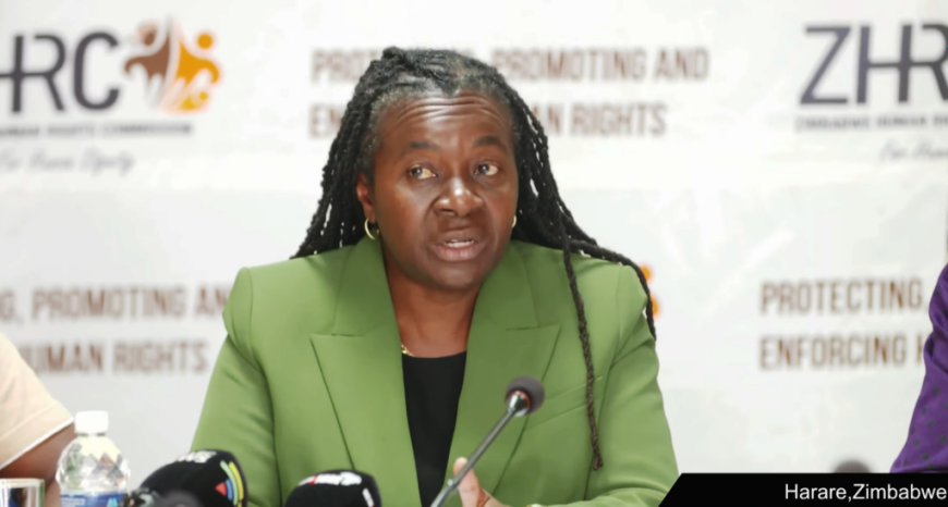 Lawyers Challenge ZHRC Chair Ouster