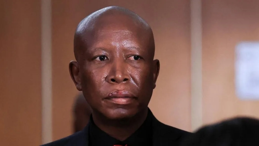 South Africa’s Julius Malema Sentenced for Firearm Offences
