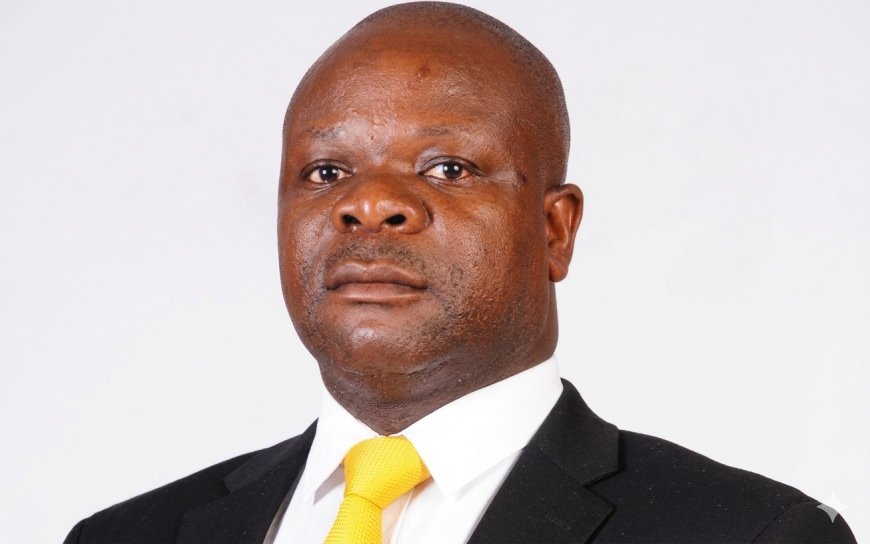 Chibaya Leads Urgent High Court Challenge Against Constitutional Amendment Process