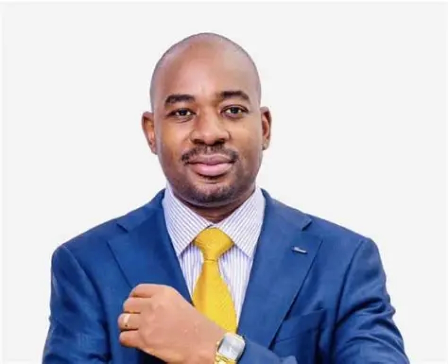 CAB3 a Betrayal of the Independence Promise: Chamisa