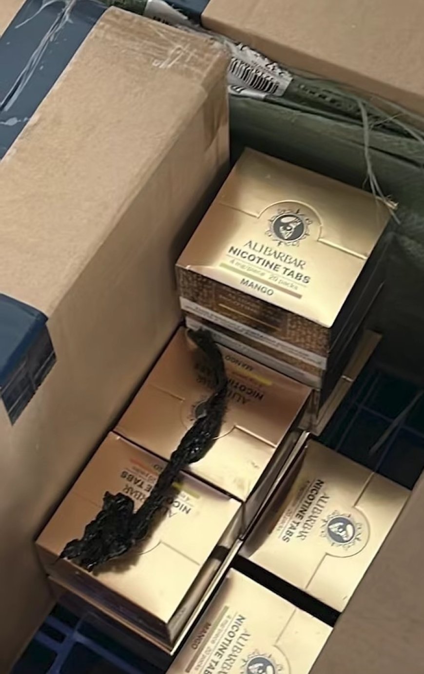 Australian Police Bust A$800,000 Cash and Illicit Tobacco Crime Syndicate