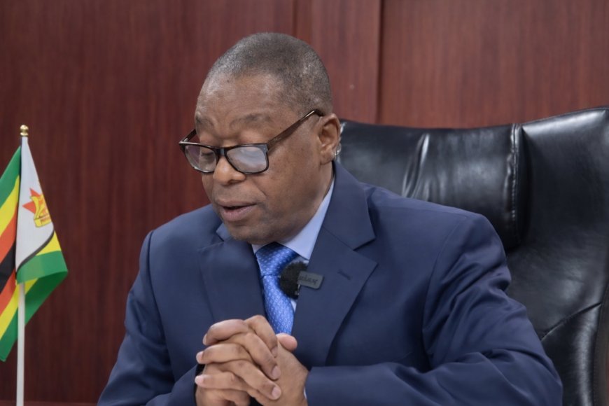 Zimbabwe's Health Minister Appeals for Nurses to Suspend Strike