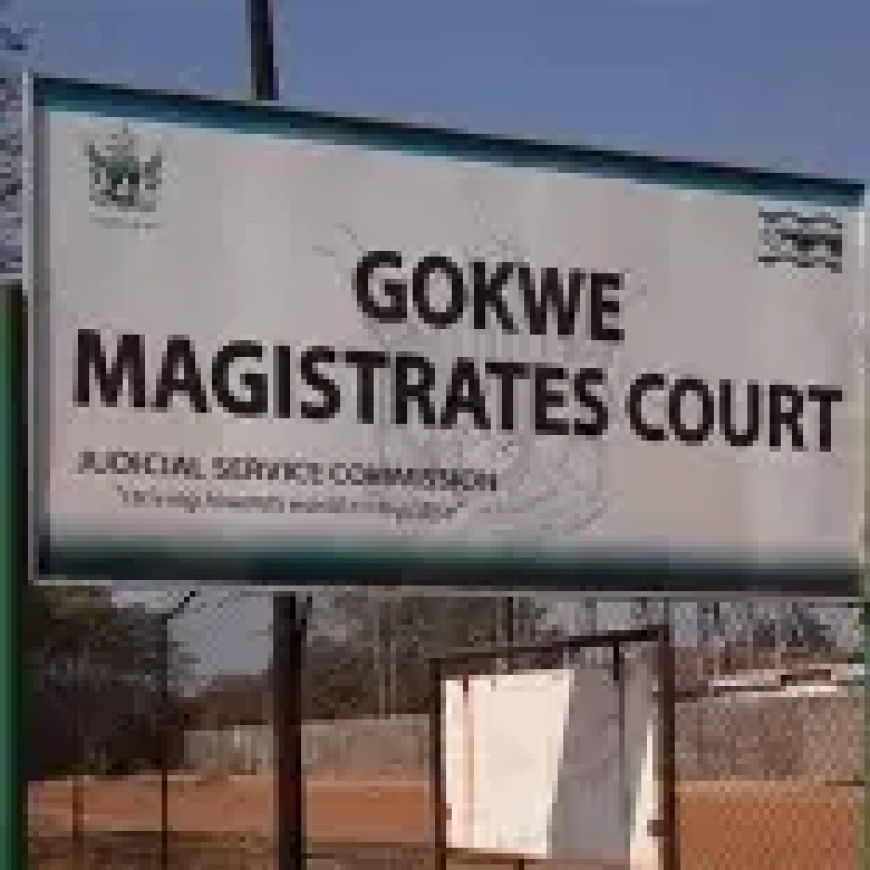 ZANU-PF Youth Activist, Prison Officer Marima in Fresh Kidnapping Storm