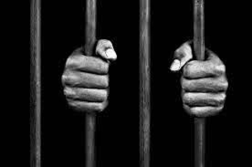 Second kidnapping, assault trial date set for ZPCS officer Marima