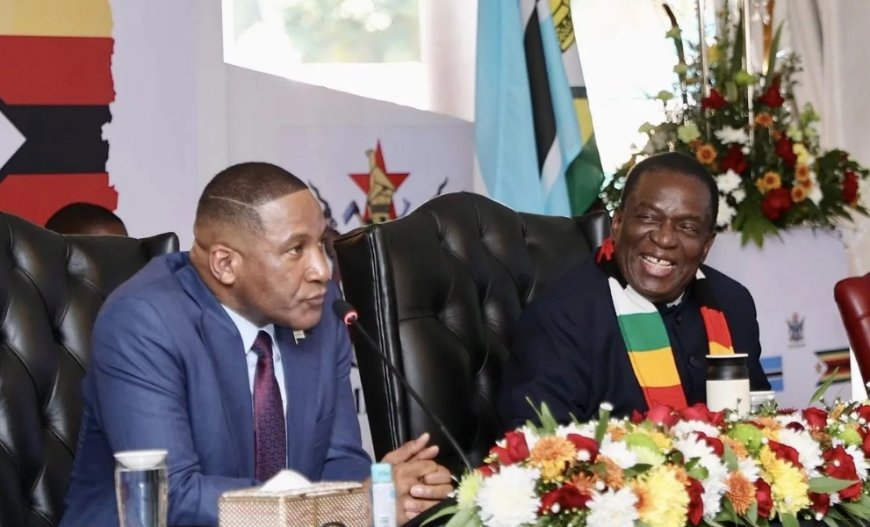 Zimbabwe, Botswana Move to Scrap Passports in Favour of ID