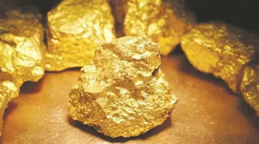 Allegations Emerge Over Gold Mining Proceeds and Shareholder Benefits