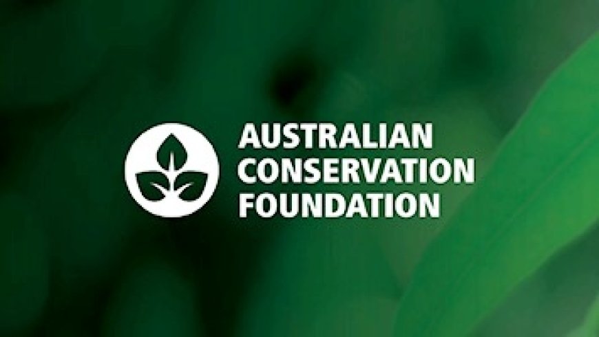 Don't walk away from the Australian public, PM: tax big gas greed - Australian Conservation Foundation