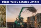 Deeply Rooted: How Hippo Valley Helped Build a Community, an Economy and a Legacy