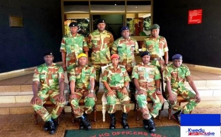 Mnangagwa Son’s Army Promotion Sparks Constitutional Clash: Prof. Madhuku