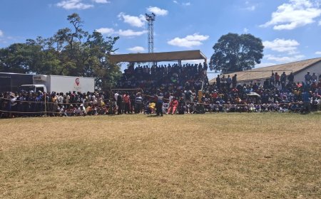 Zimbabwe Workers Mark May Day Under Strain: NDWG