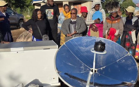 Feminists Call for Justice and Inclusion in Zimbabwe’s Lithium Growth