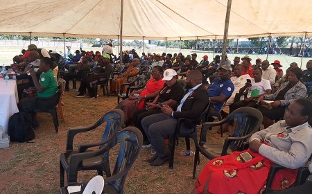 ZCTU Central Region Hosts Subdued May Day Commemorations at Mkoba Stadium