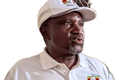 War Veterans Defend Chiwenga, Reject Resignation Calls
