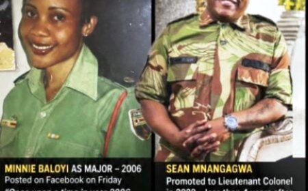 Baloyi Post Sparks Debate Over Mnangagwa’s Rapid Military Rise