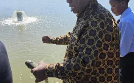 Ramaphosa’s Unannounced Mnangagwa Farm Visit Sparks Transparency Questions