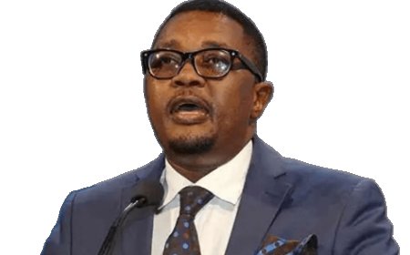 Mzembi Granted US$1,000 Bail Pending Judgment in US$2 Million Fraud Case