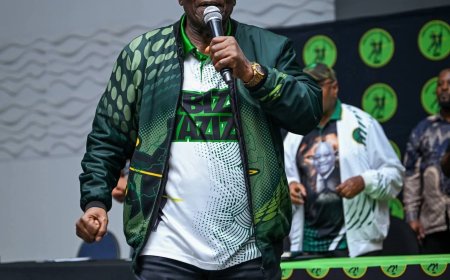 Jacob Zuma Party Denounces Tribalism Amid Growing National Immigration Debate
