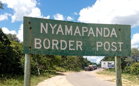 14 Die in Horrific Cross-Border Bus Accident Along Harare-Nyamapanda Highway